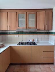 The Rivervale (D19), Condominium #586982661